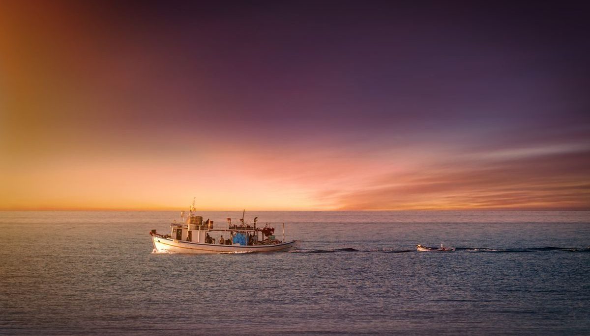 Pesca Deportiva